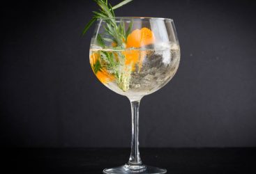 The GINDEX, gin and tonic, balloon glass